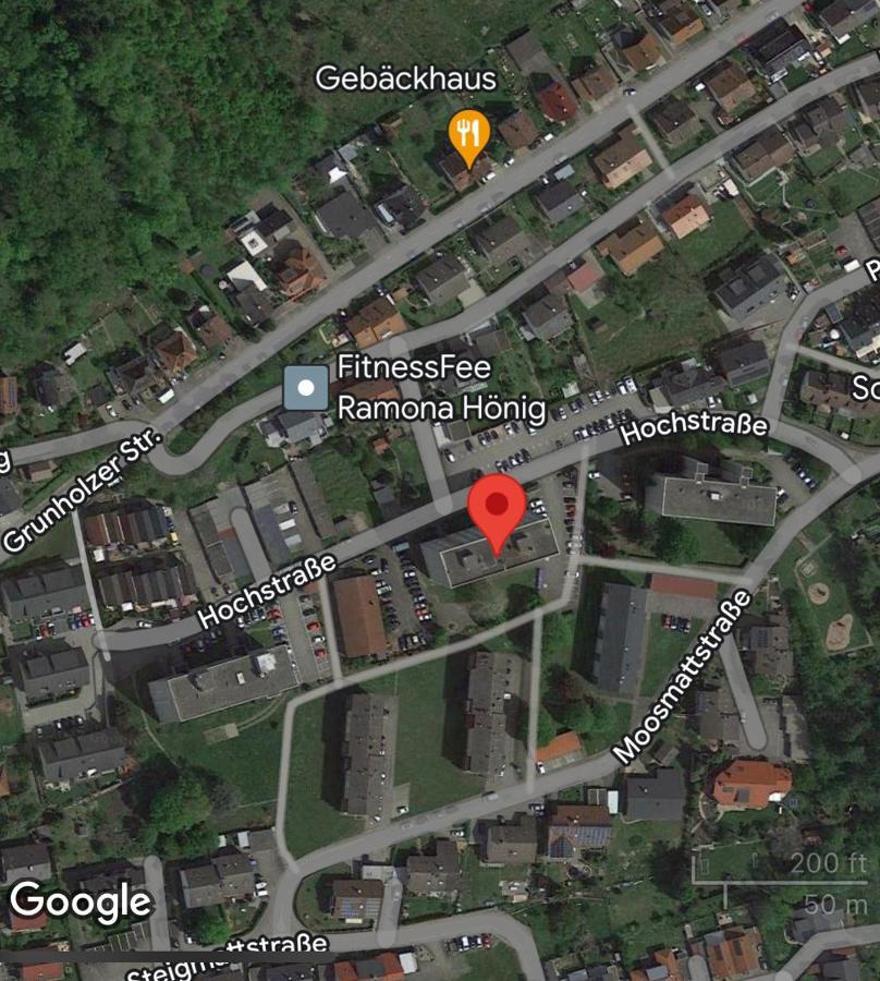 Grosse Und Helle Ferien Wohnung Mit Parkplatzen Laufenburg Exteriör bild